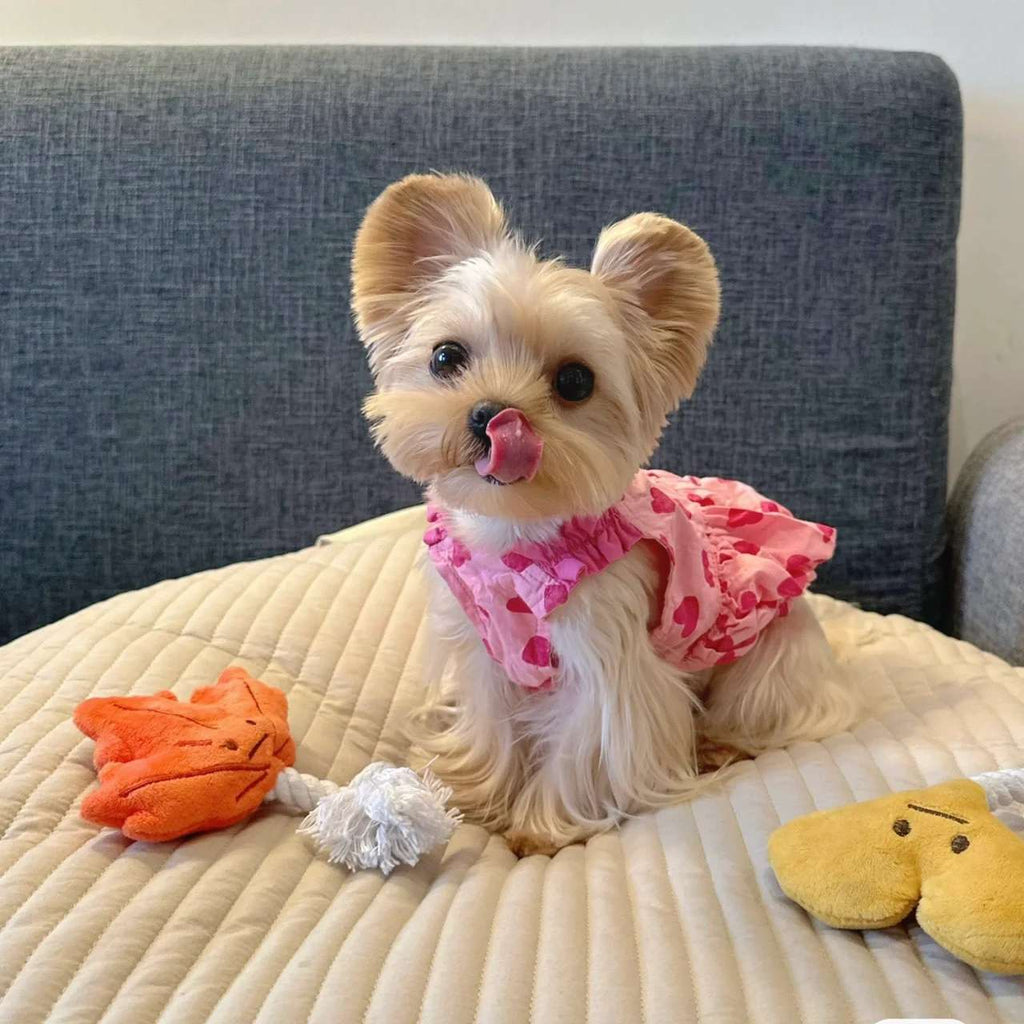 Springsummer Dog Clothes Princess Dress For Pets