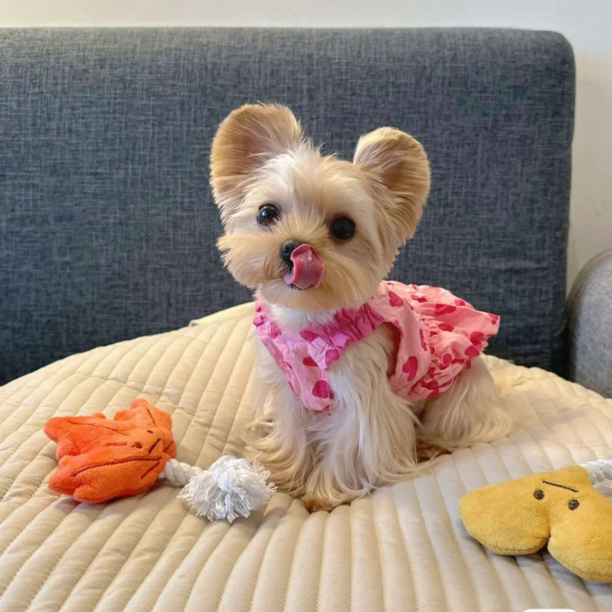 Springsummer Dog Clothes Princess Dress For Pets