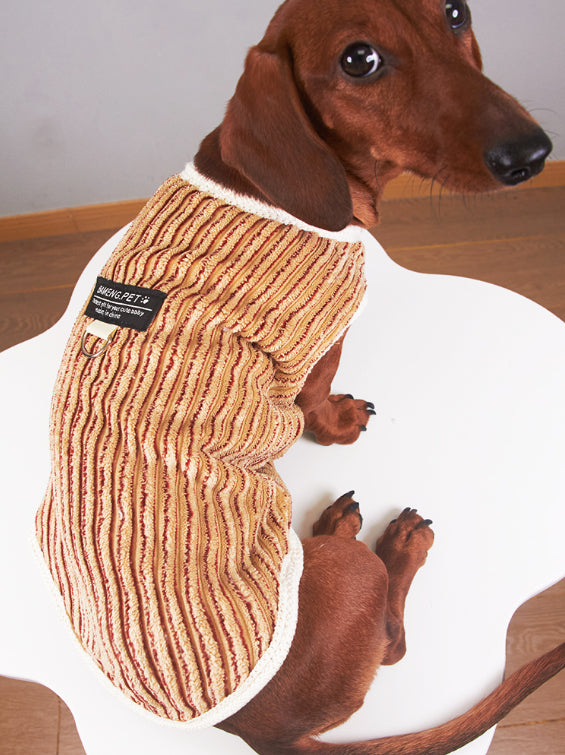 Yorkshire Miniature Pinscher Bichon Hoodie Striped
