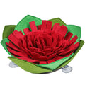 Dog weight loss training blanket