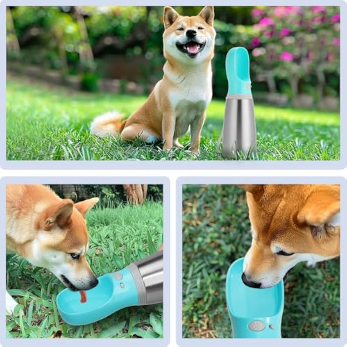 Portable Dog Water Bottle 700ml Stainless Steel Leak Proof Puppy Water Dispenser With Drinking Feeder For Pets Travel Walking Hiking And Outdoor