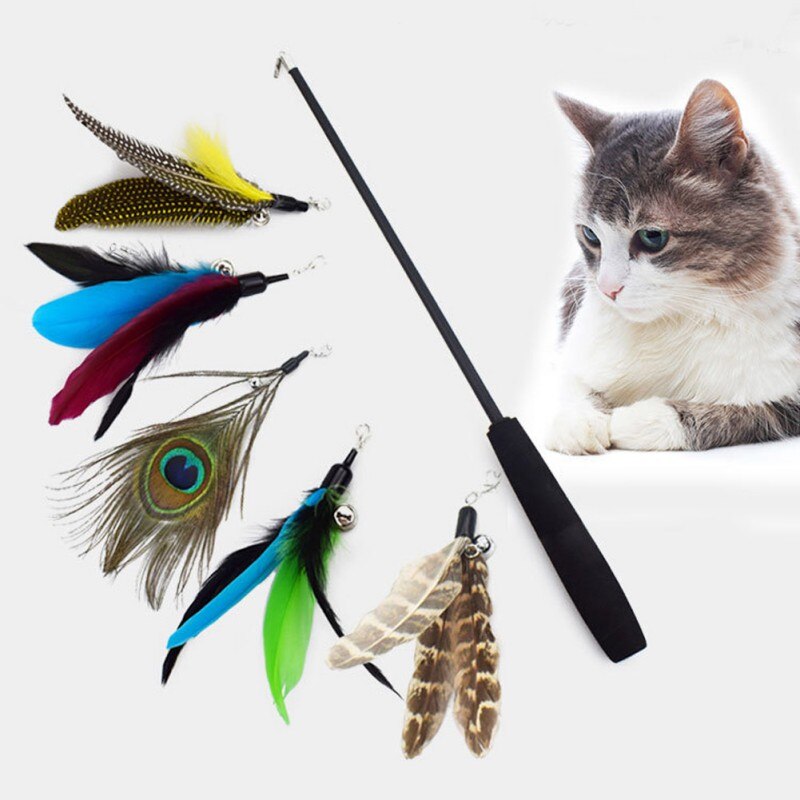 Three-Stage Funny Cat Stick Funny Cat Stick