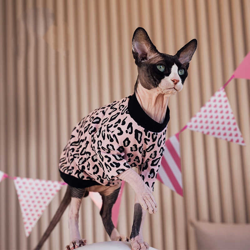 Sphynx Cat Cotton Leopard Shirt Fashion Clothes