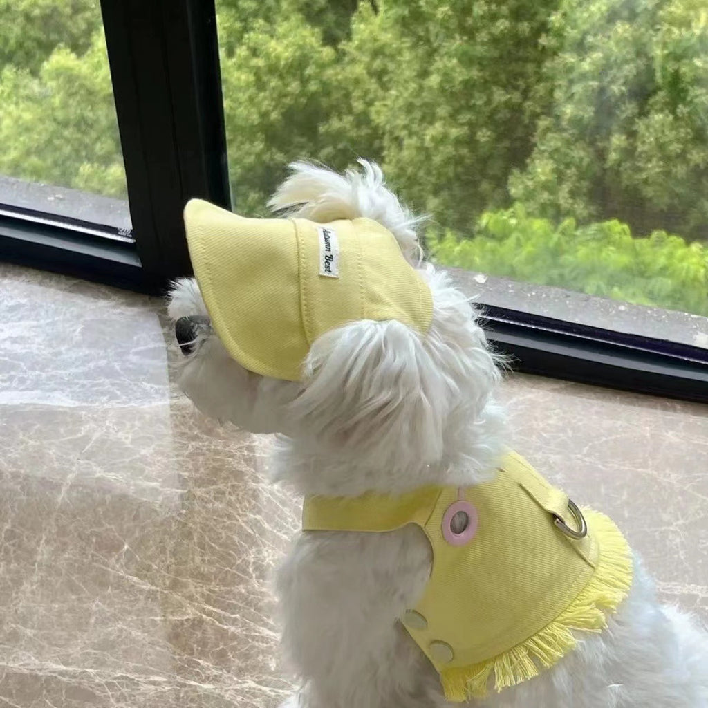 Pet Clothes Candy Color Denim Vest