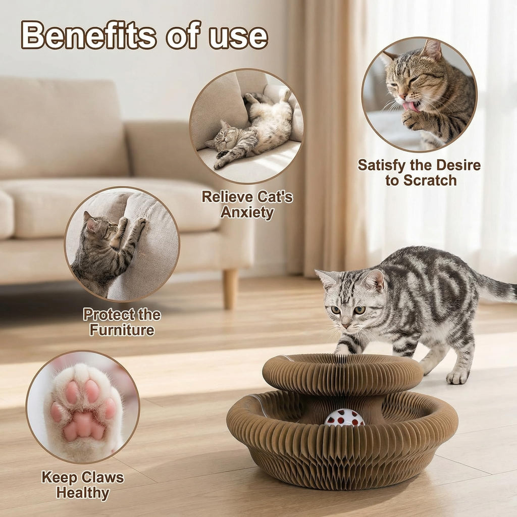 Cat Toy,Magic Organ Cat Scratcher Board,Foldable Recyclable Cat Accordion Toy,Interactive Scratch Pad With Toy Ball,Interactive Cat Toys For Indoor