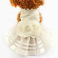 Moonlit skirt for pet dog in lotus pond in summer