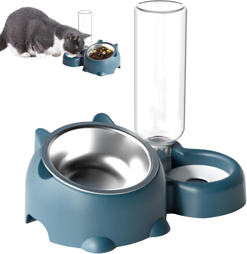 Cat Food And Water Bowl Set - 16 Degree Tilted Dog Dish With Water Dispenser Removable Pet Feeder Bowl Dog Drinking And Eating Bowl Detachable Pet