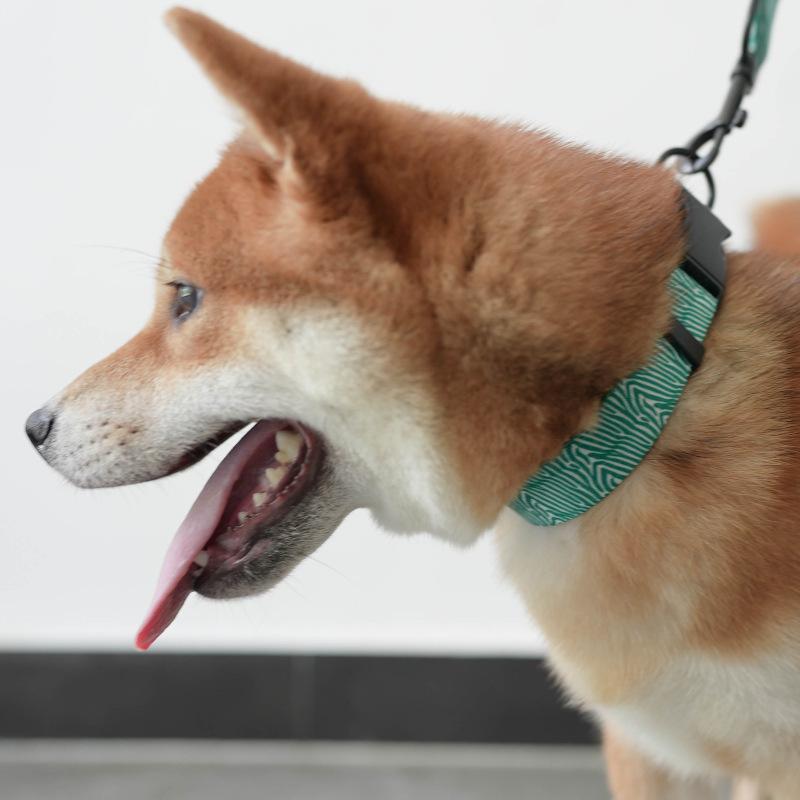 Fashionable Printed Nylon Dog Collar And Leas