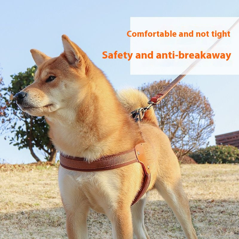 Leash Chest And Back Small Dog
