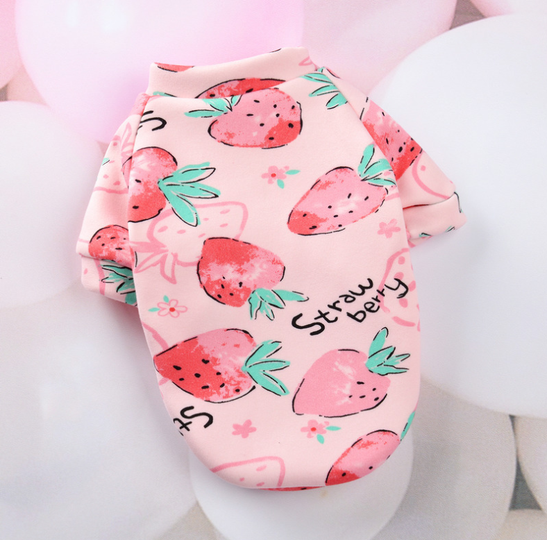 Young autumn and winter small dog pet clothes
