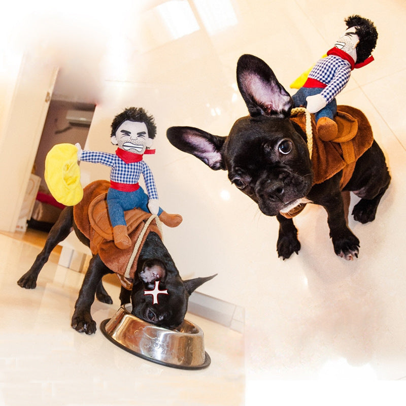 Cute And Funny Pet Dog Riding A Horse