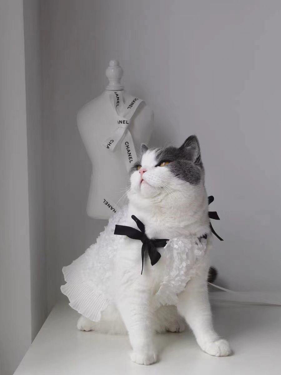 Pet Thin Dog Cat Flower Skirt
