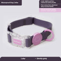 Dog Collar Dog Hand Holding Rope