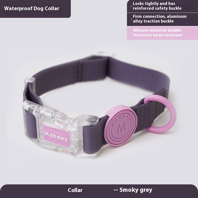 Dog Collar Dog Hand Holding Rope