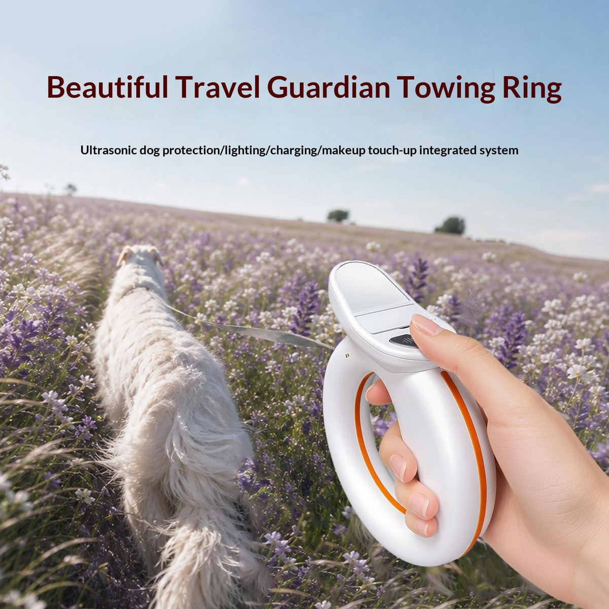 Guardian Leash