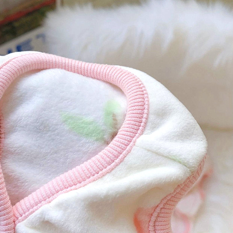 Peach Pet Cat Small Puppies Teddy