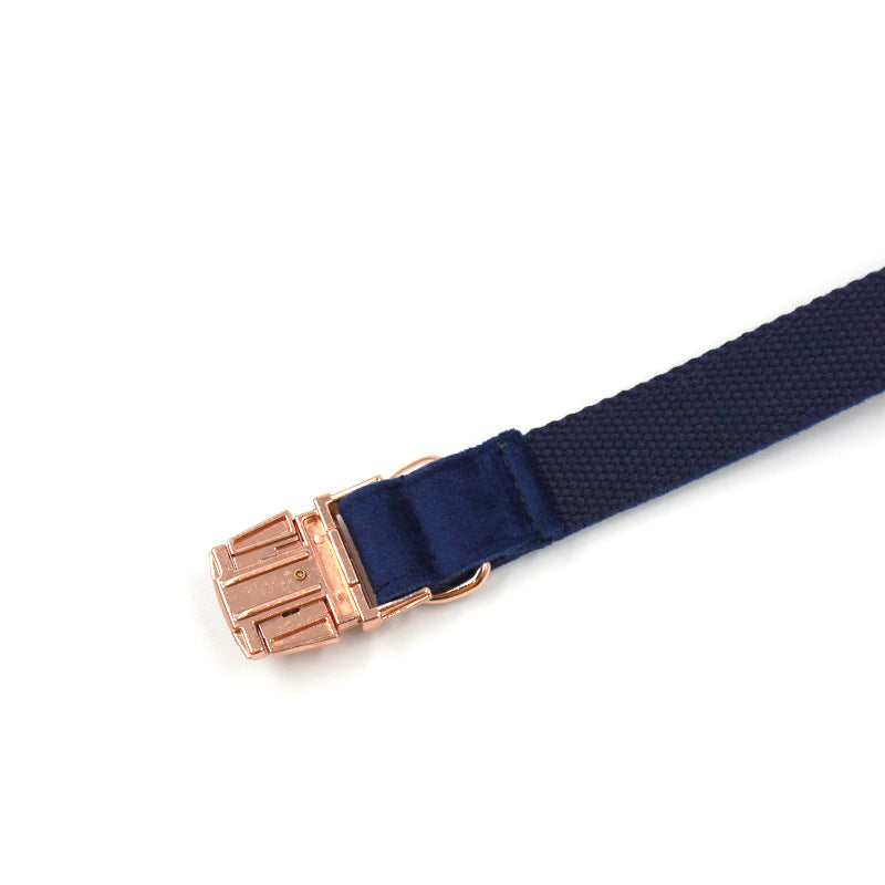 Blue Velvet Rose Gold Buckle Pet Collar