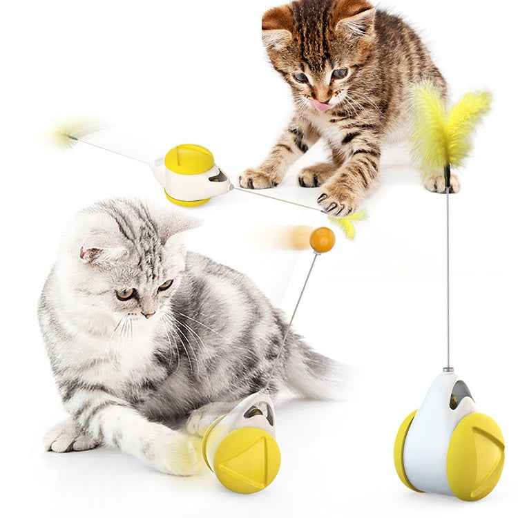Balance swing car funny cat toy
