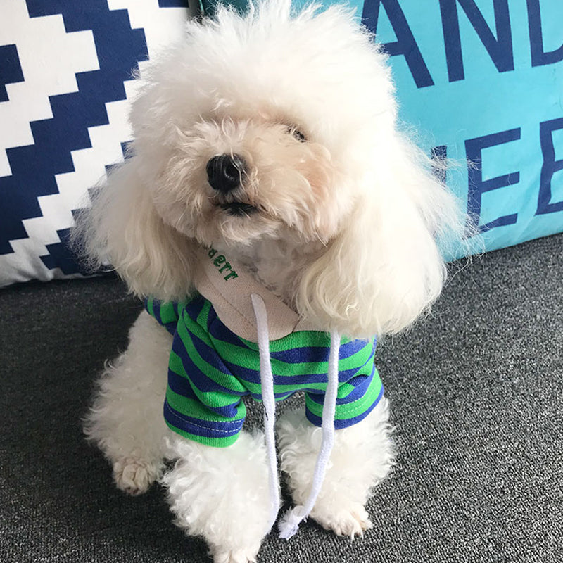 Pet striped sweater