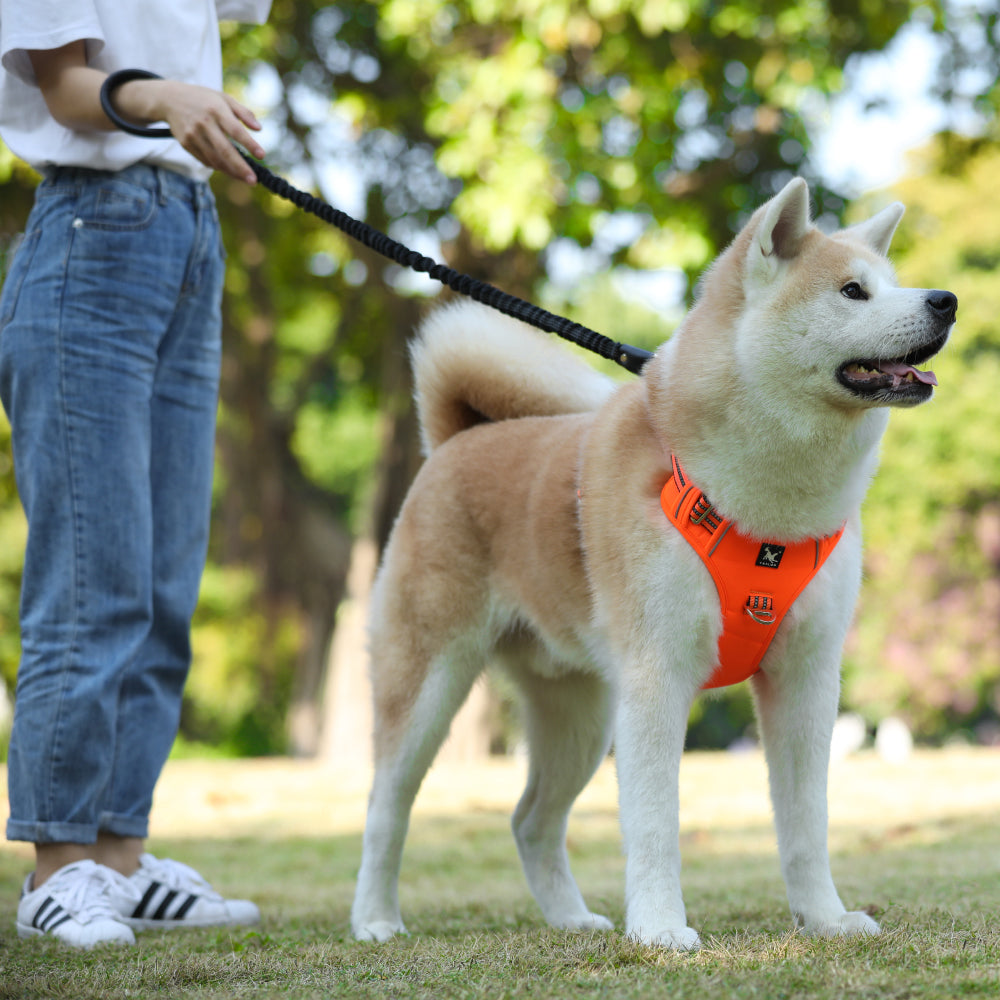 Pet Sports Chest Strap Explosion-proof Punch