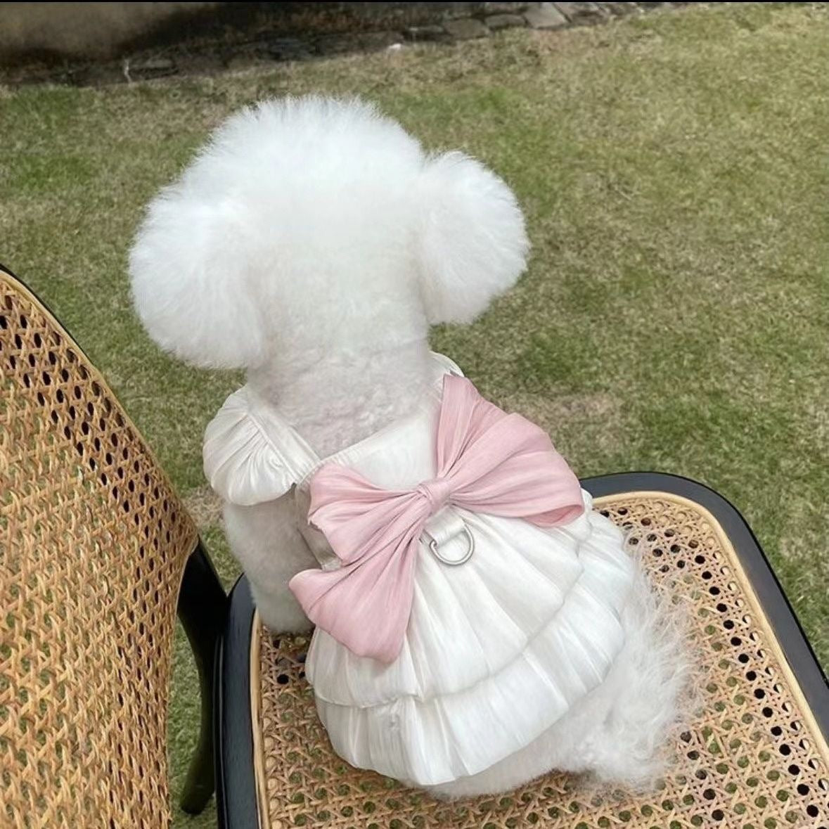 Pet Clothes Streamer Breathable Gauze Skirt Teddy Bichon Dog Cat Out Traction