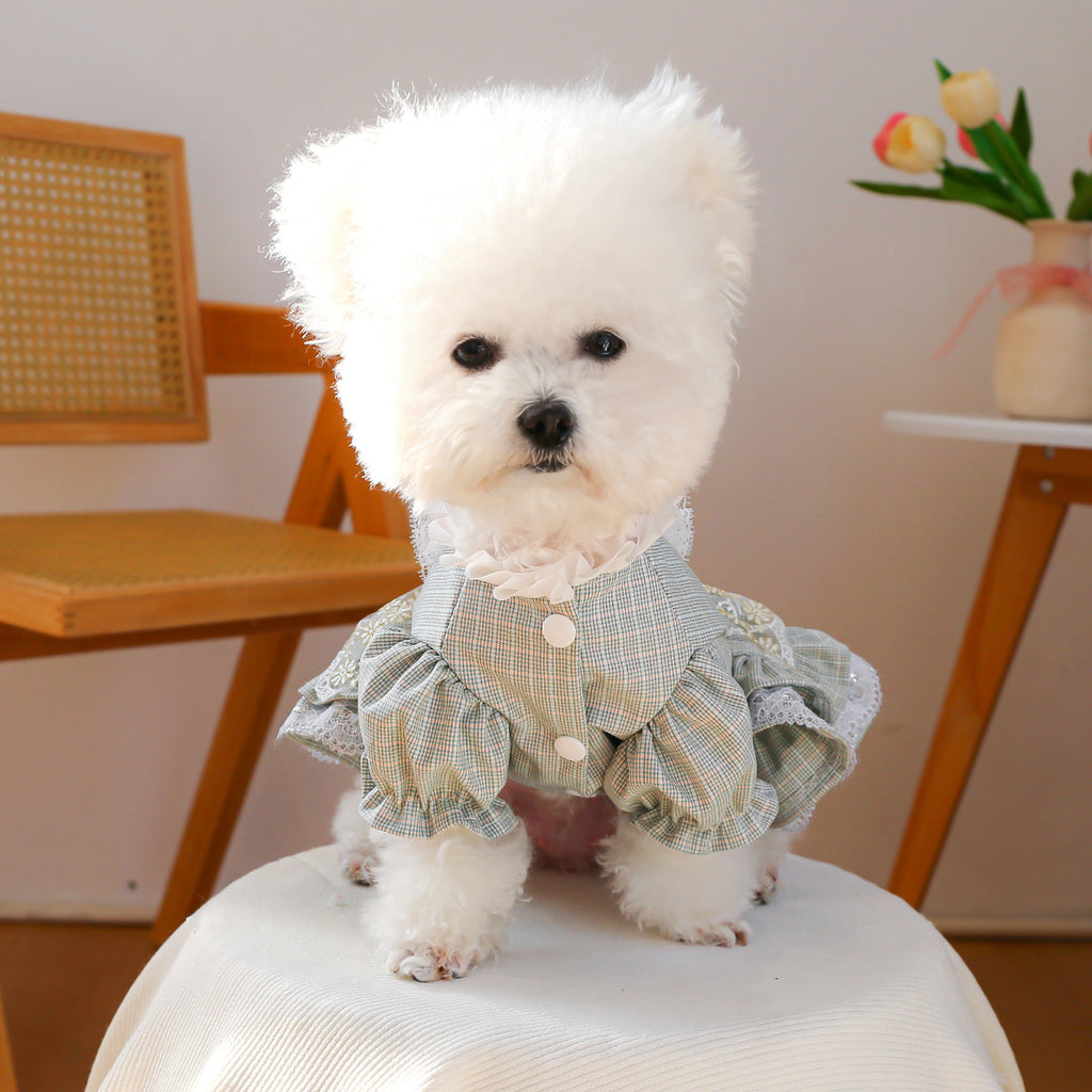 Court-style Cute Small Dog Lace Skirt