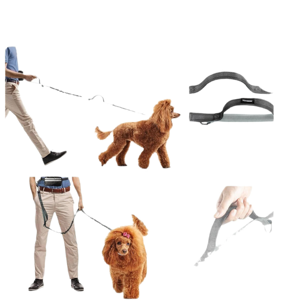 New Product With Waist Bag Running Leash Pet Leash Sports Running Leash