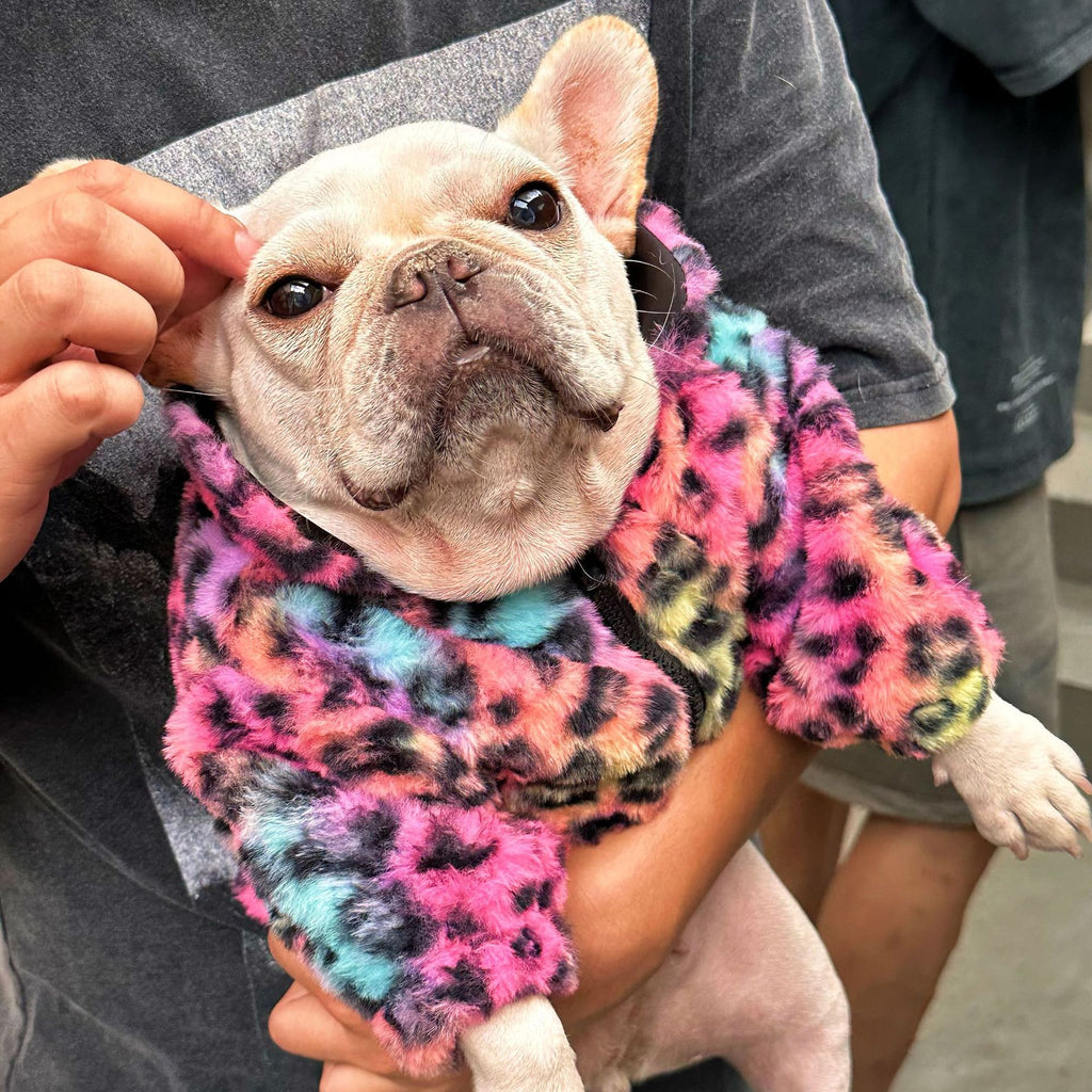 Pet Clothes Colorful Leopard Print Velvet Coat