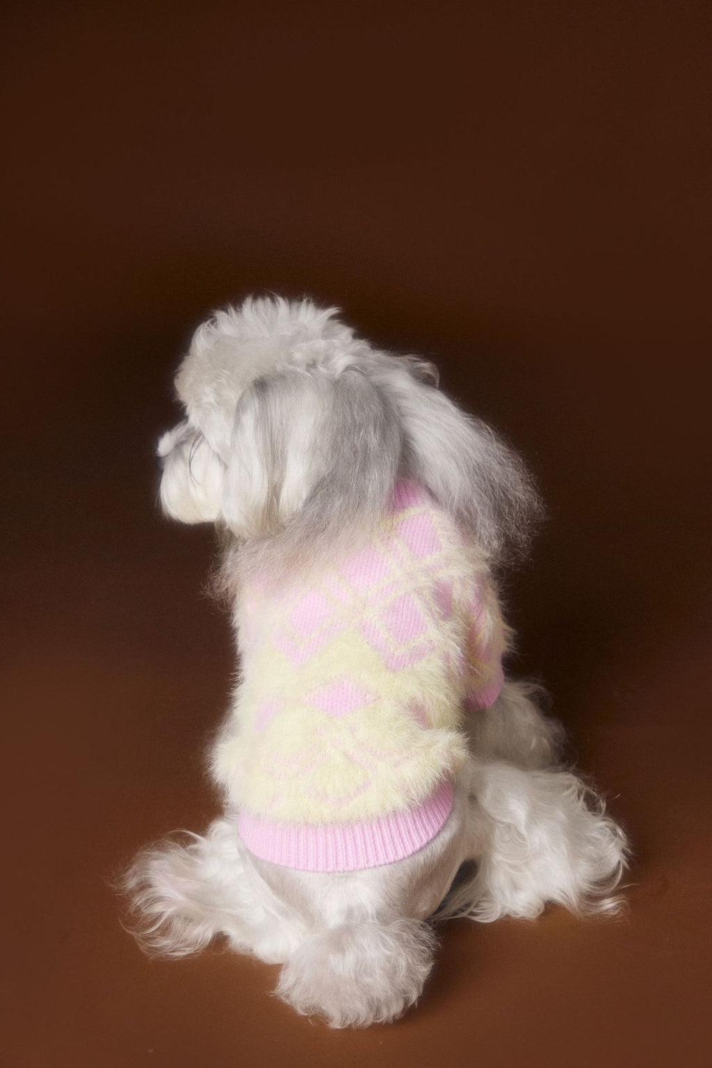 Schnauzer Teddy Bichon Cute Cardigan Sweater