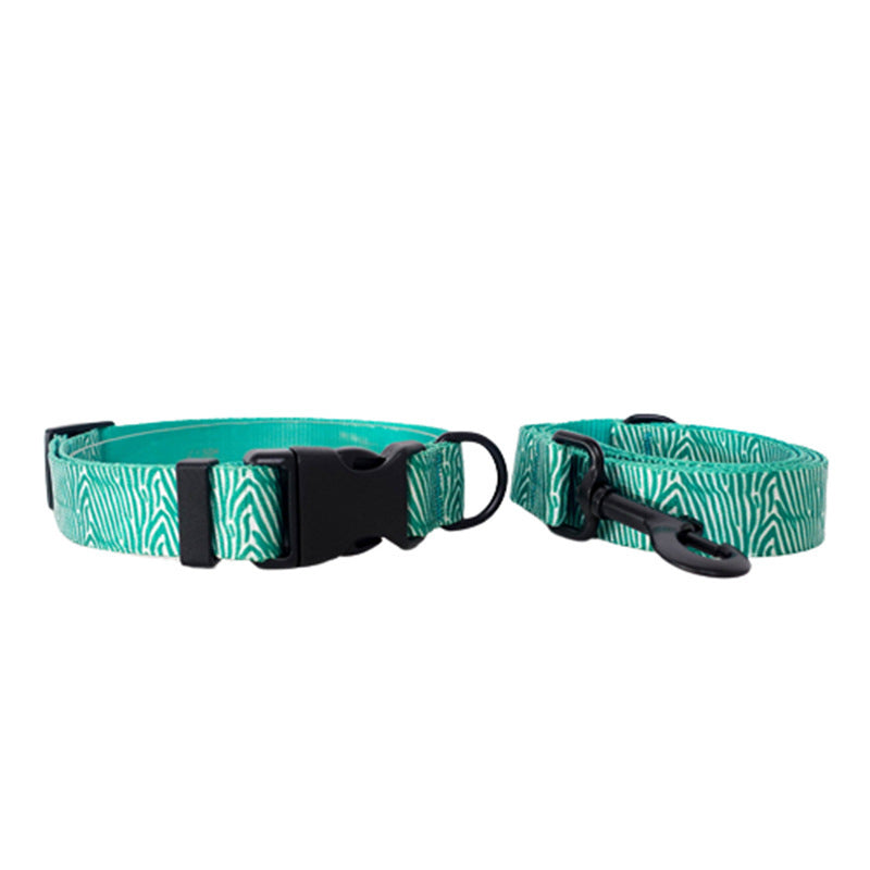 Fashionable Printed Nylon Dog Collar And Leas