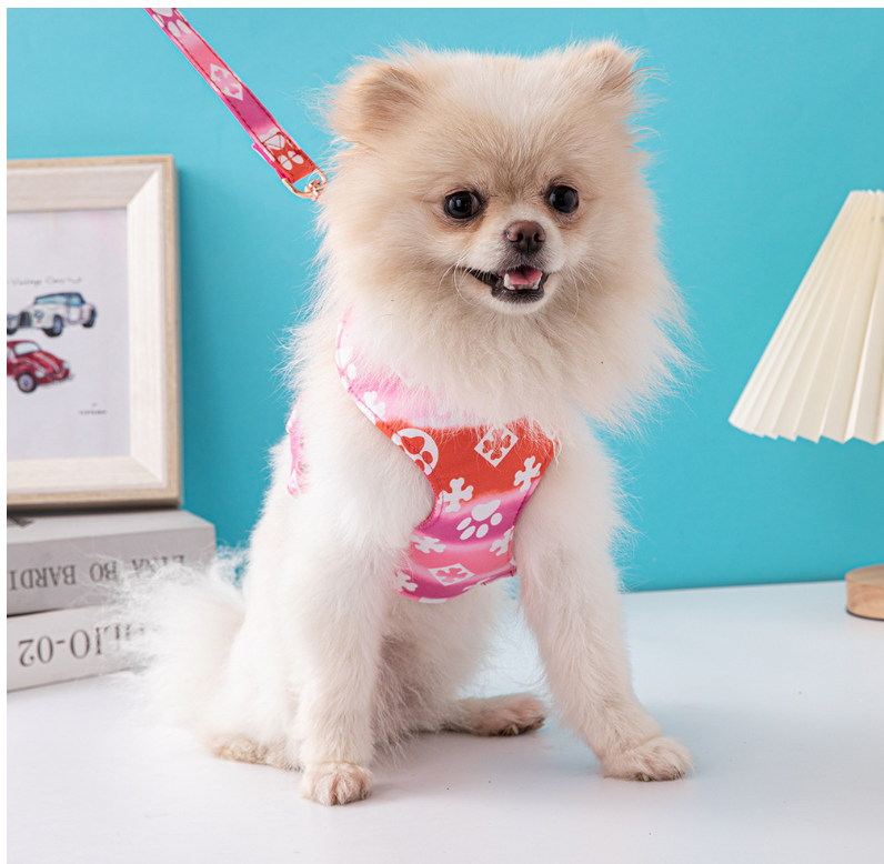 Dog Traction Rope Dog Traction Spot Jarre Aero Bull Schnauzer Fashion Pet Harness