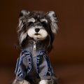 Schnauzer Teddy Bichon Yorkshire Striped Stitching Zipper Sweater