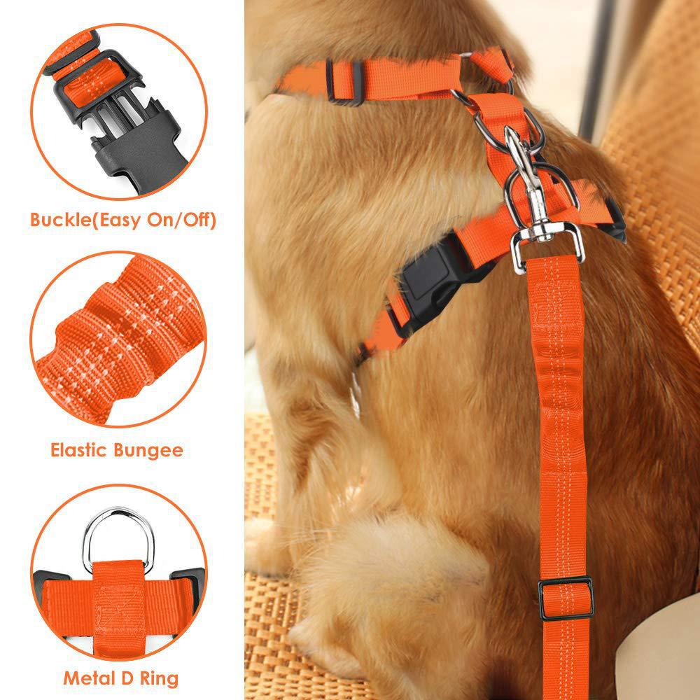 Pet Supplies Explosions Dog Leash Small Dog Vest Chest Strap Reflective Dog Rope Wholesale