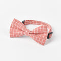 British style child pet dog bow tie