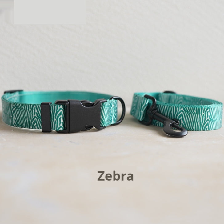 Fashionable Printed Nylon Dog Collar And Leas