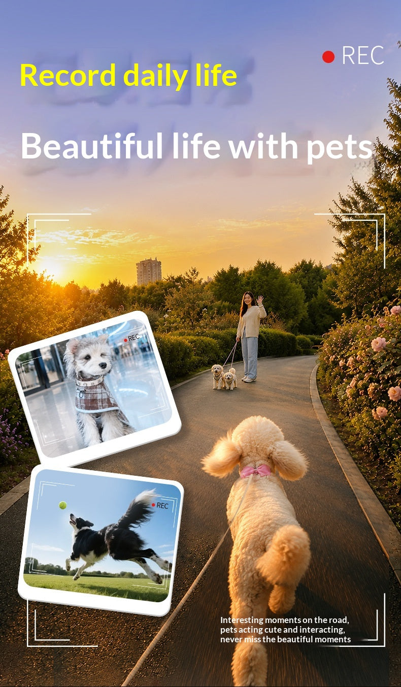 Bright Safe Leash