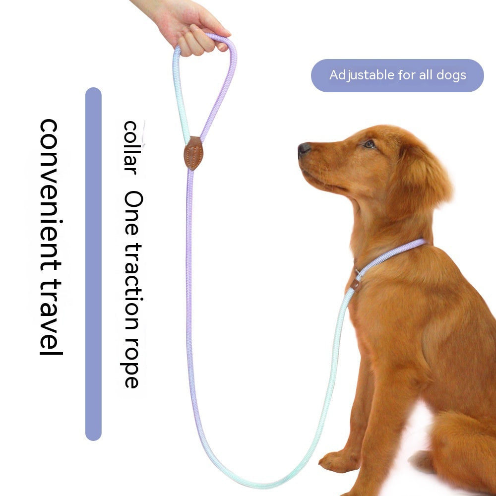 Colorful Durable Bold Nylon Pet Hand Holding Rope