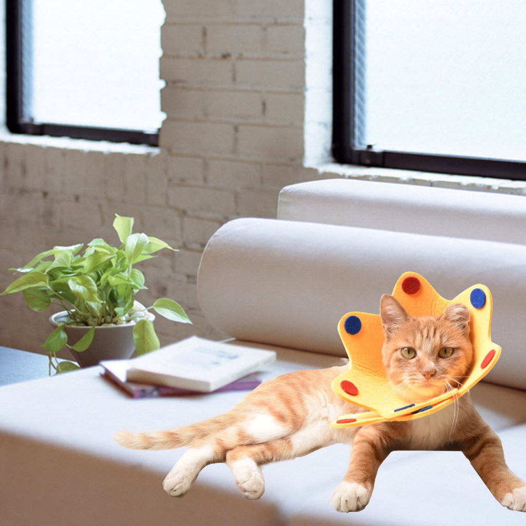 Cat Lightweight Postoperative Recovery Adjustable Collar