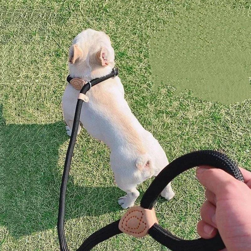 Dog Leash Anti-pull P-chain Walking Leash