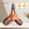 Leash Chest And Back Small Dog