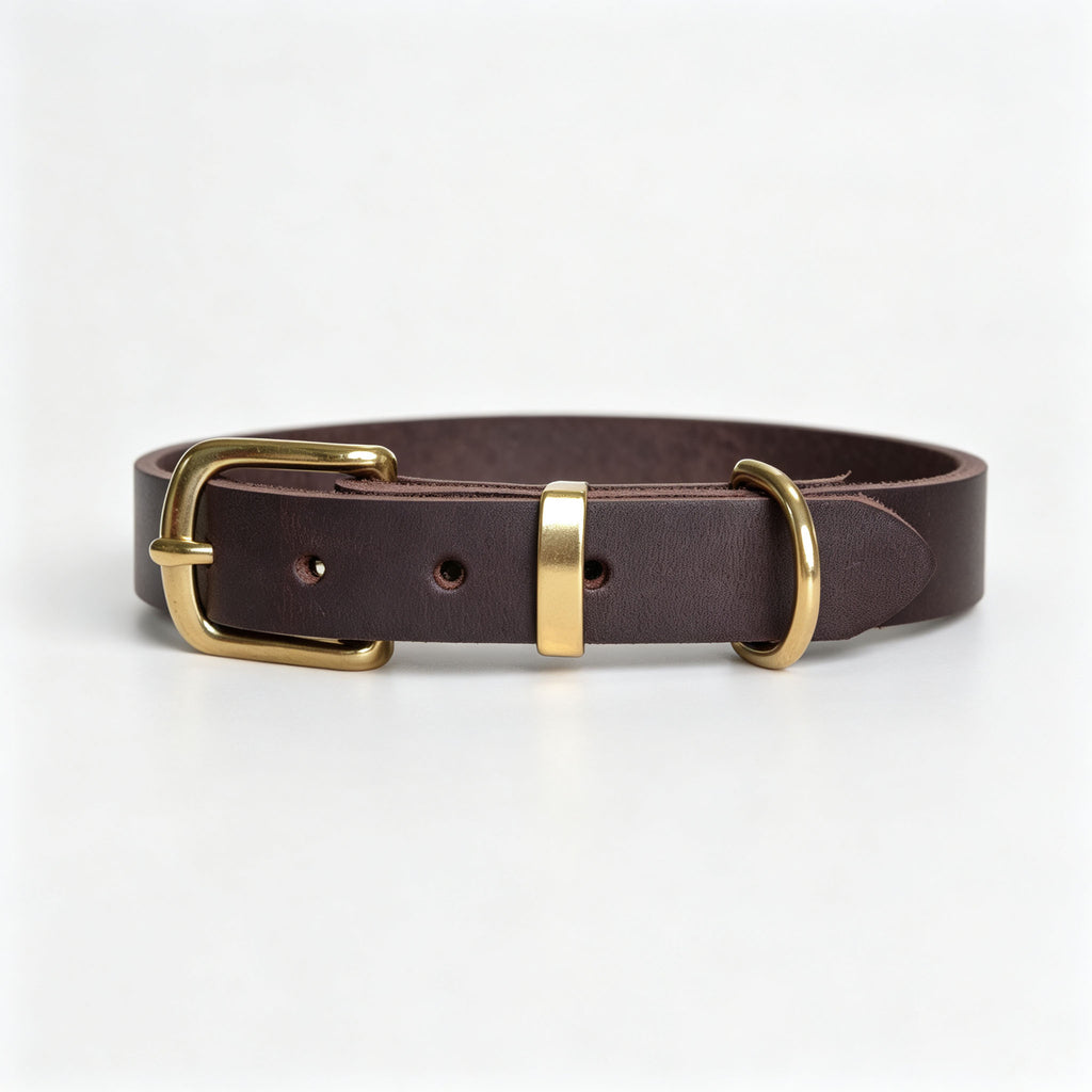 Vintage-style Pet Collar With Brass Fastenings