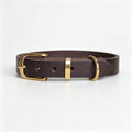Vintage-style Pet Collar With Brass Fastenings
