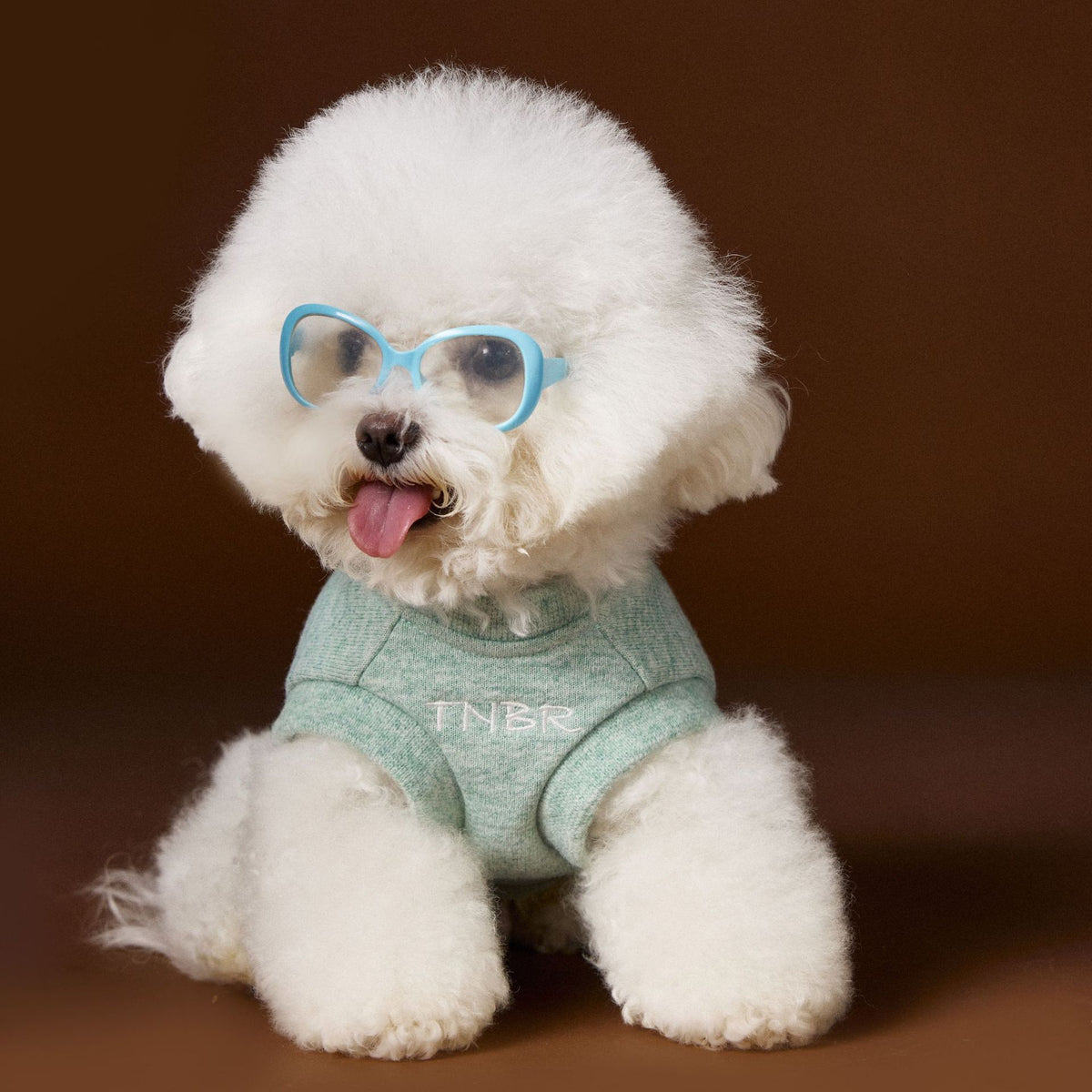 Bichon Maltese Sleeveless Sweater Three-dimensional Bear Head