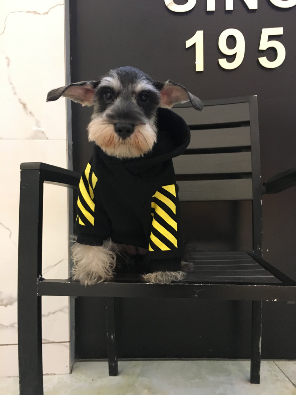 Fleecy puppy sweater
