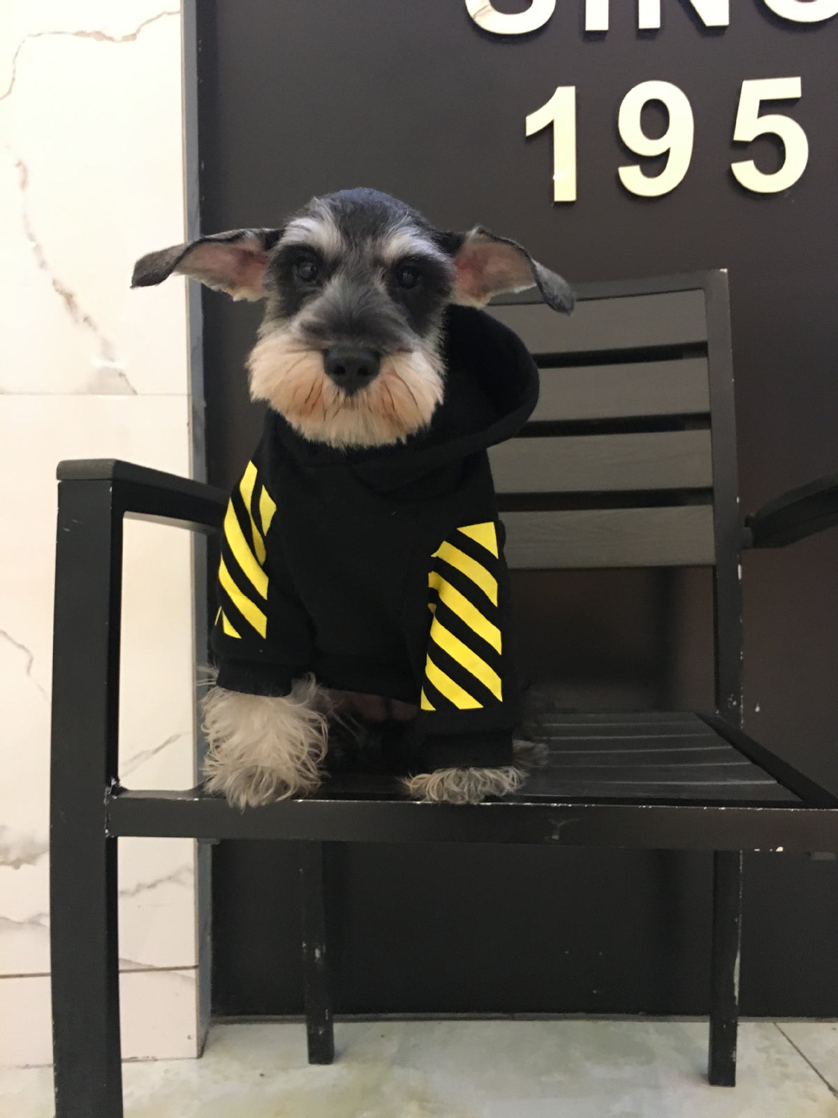Fleecy puppy sweater