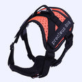 Adjustable dog traction chest and back
