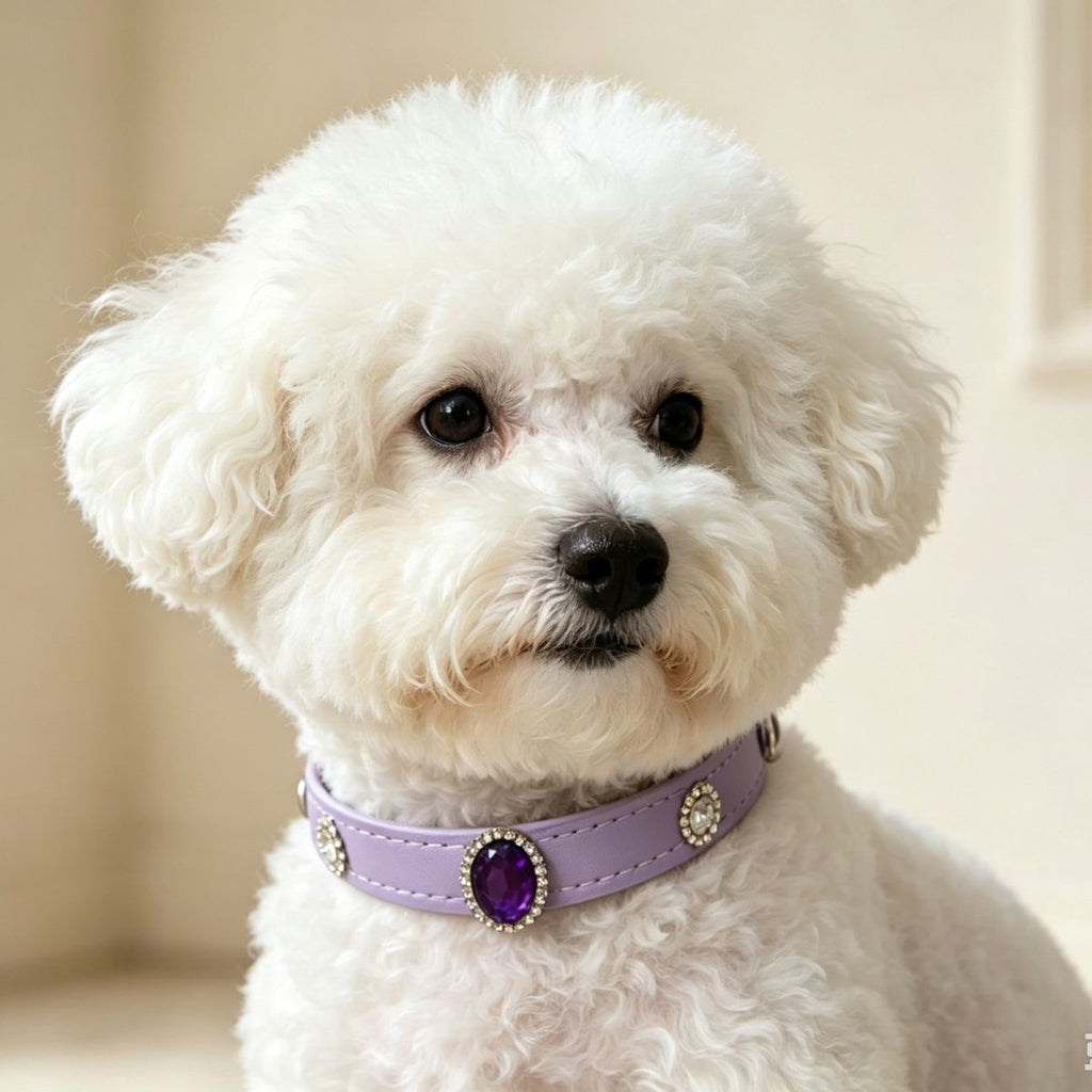 Cat And Dog Decorative Rhinestone Pet Collar