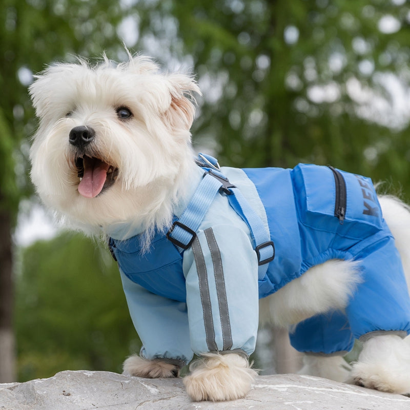 Autumn And Winter Dog, Small And Medium-sized Dog Teddy Outdoor Windproof, Waterproof, Three-proof Raincoat, Four-legged Cotton Coat, Pet Clothing