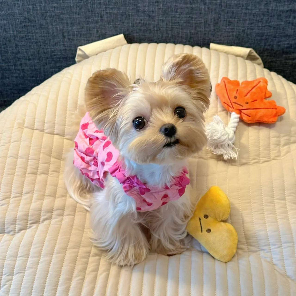 Springsummer Dog Clothes Princess Dress For Pets