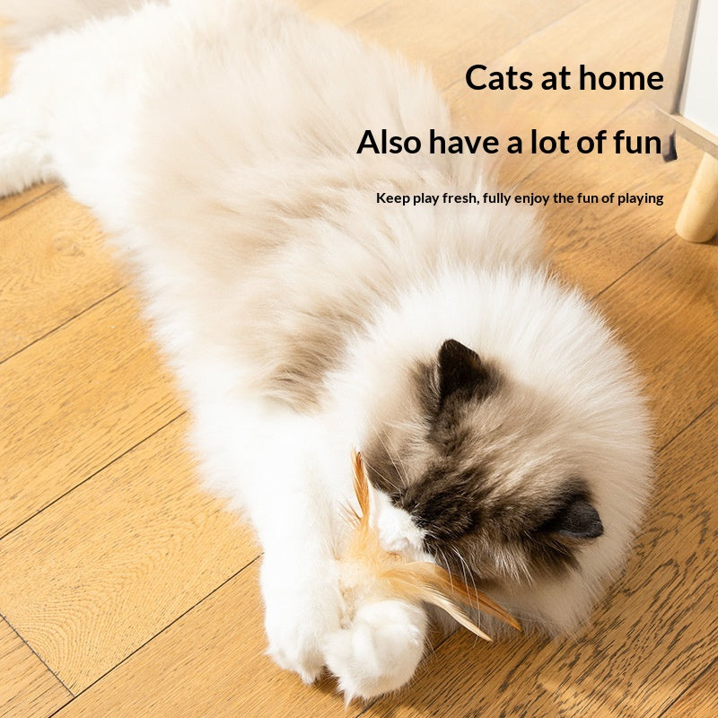 Creative Cat Toy Self-amusing Feline New Release